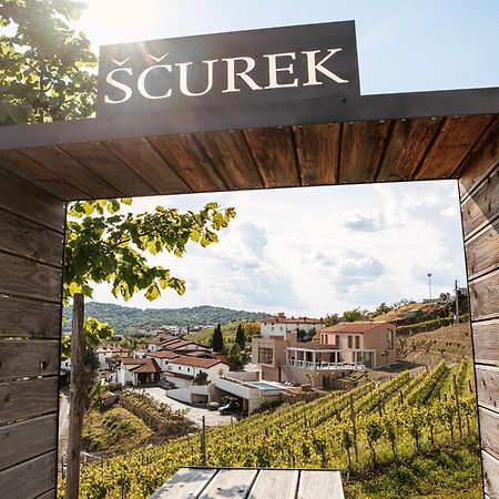 Bed and Breakfast Posestvo Scurek Wine Dobrovo Esterno foto