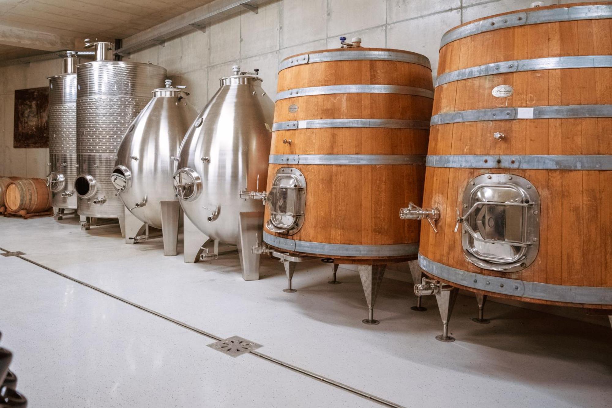 Bed and Breakfast Posestvo Scurek Wine Dobrovo Esterno foto