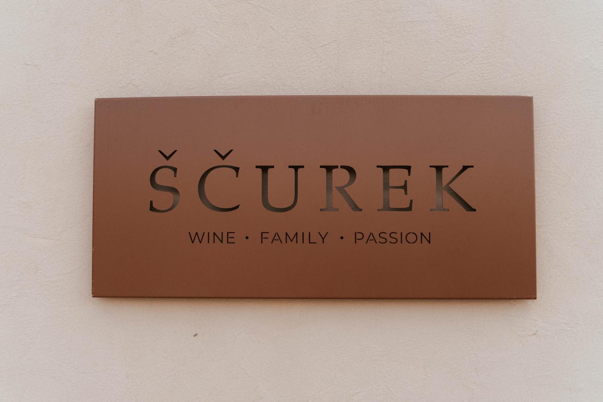 Bed and Breakfast Posestvo Scurek Wine Dobrovo Esterno foto