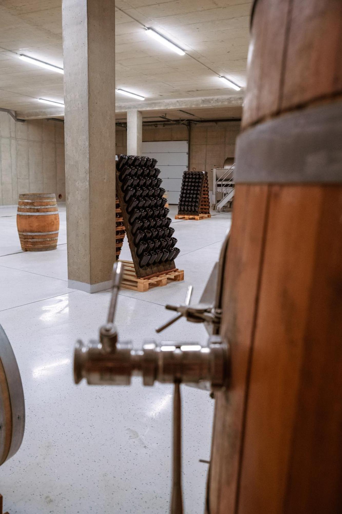 Bed and Breakfast Posestvo Scurek Wine Dobrovo Esterno foto