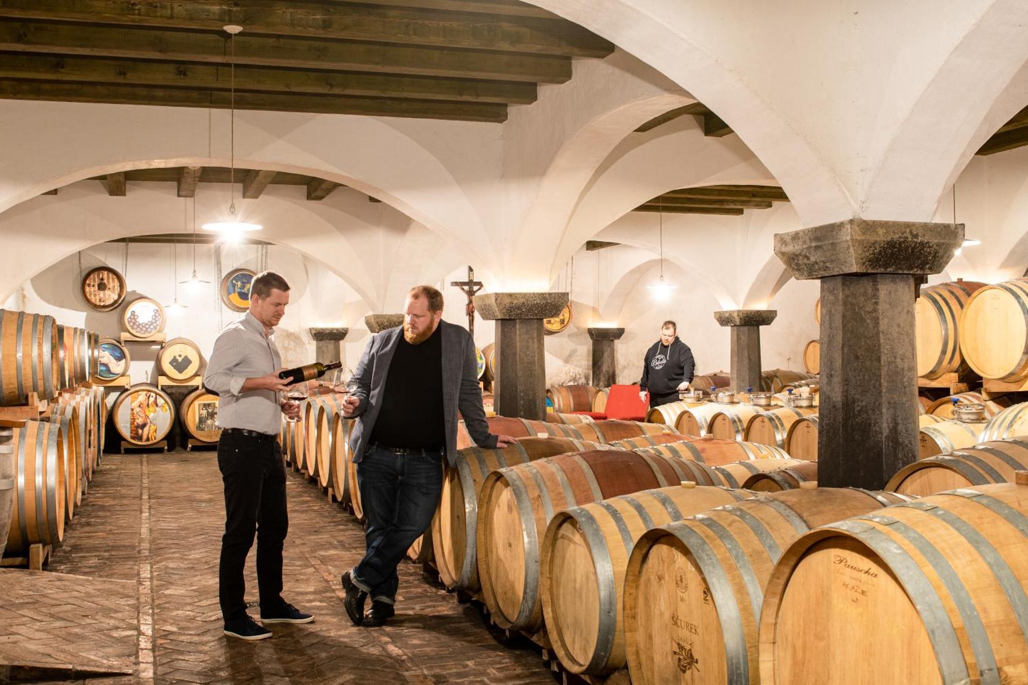Bed and Breakfast Posestvo Scurek Wine Dobrovo Esterno foto