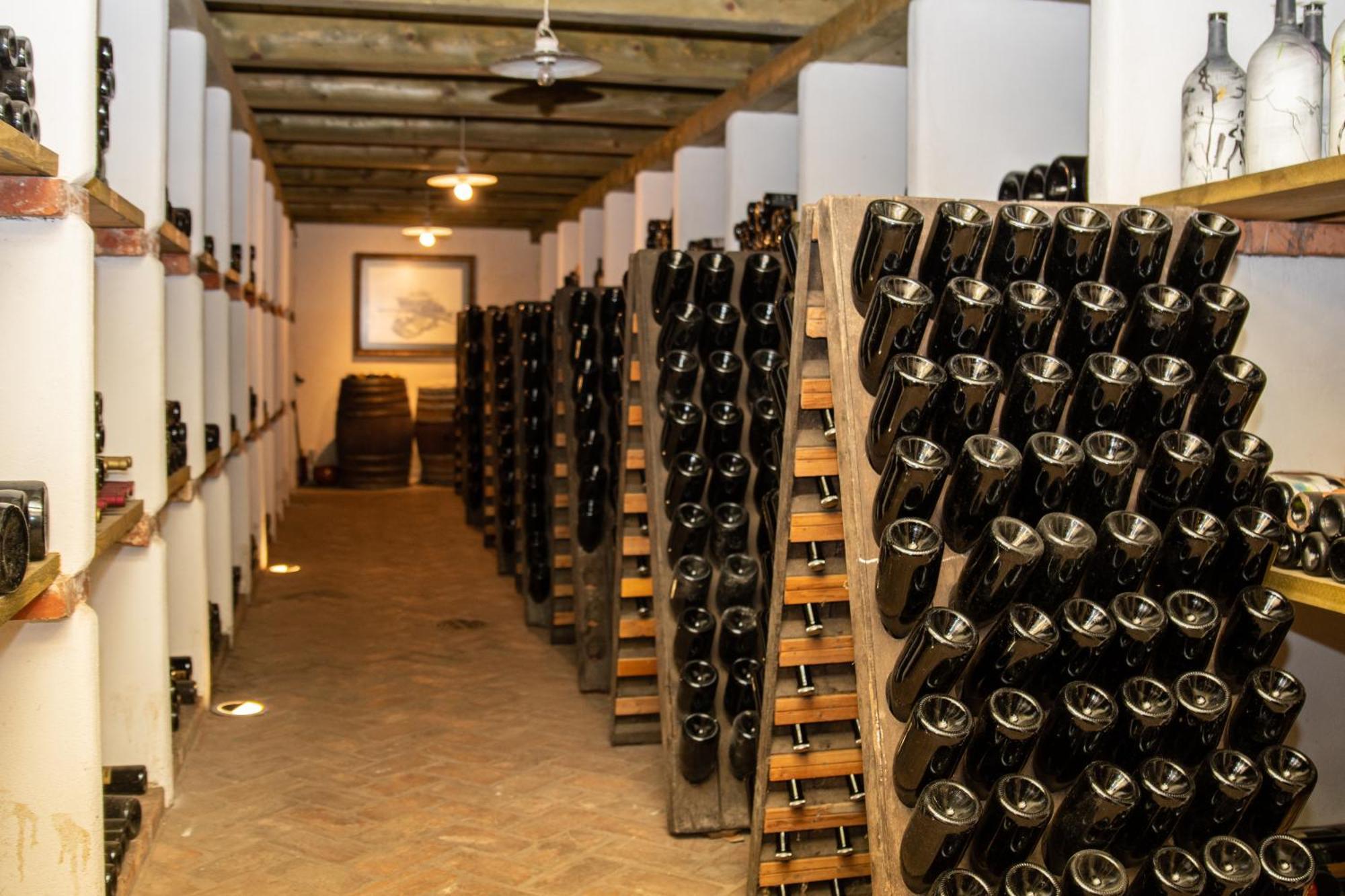 Bed and Breakfast Posestvo Scurek Wine Dobrovo Esterno foto