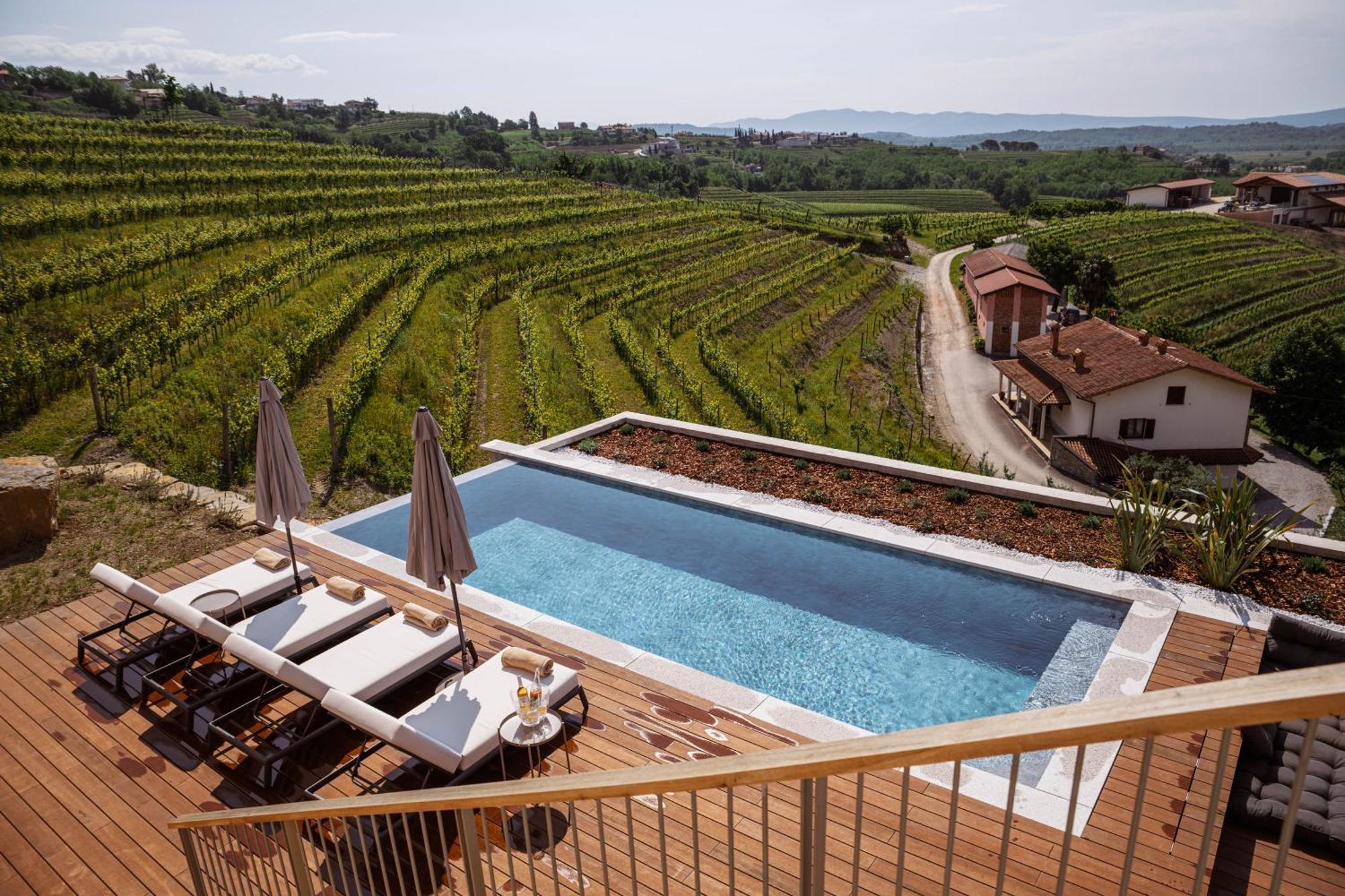 Bed and Breakfast Posestvo Scurek Wine Dobrovo Esterno foto
