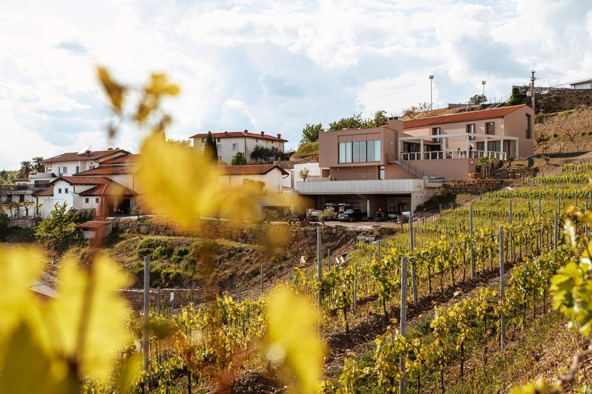Bed and Breakfast Posestvo Scurek Wine Dobrovo Esterno foto