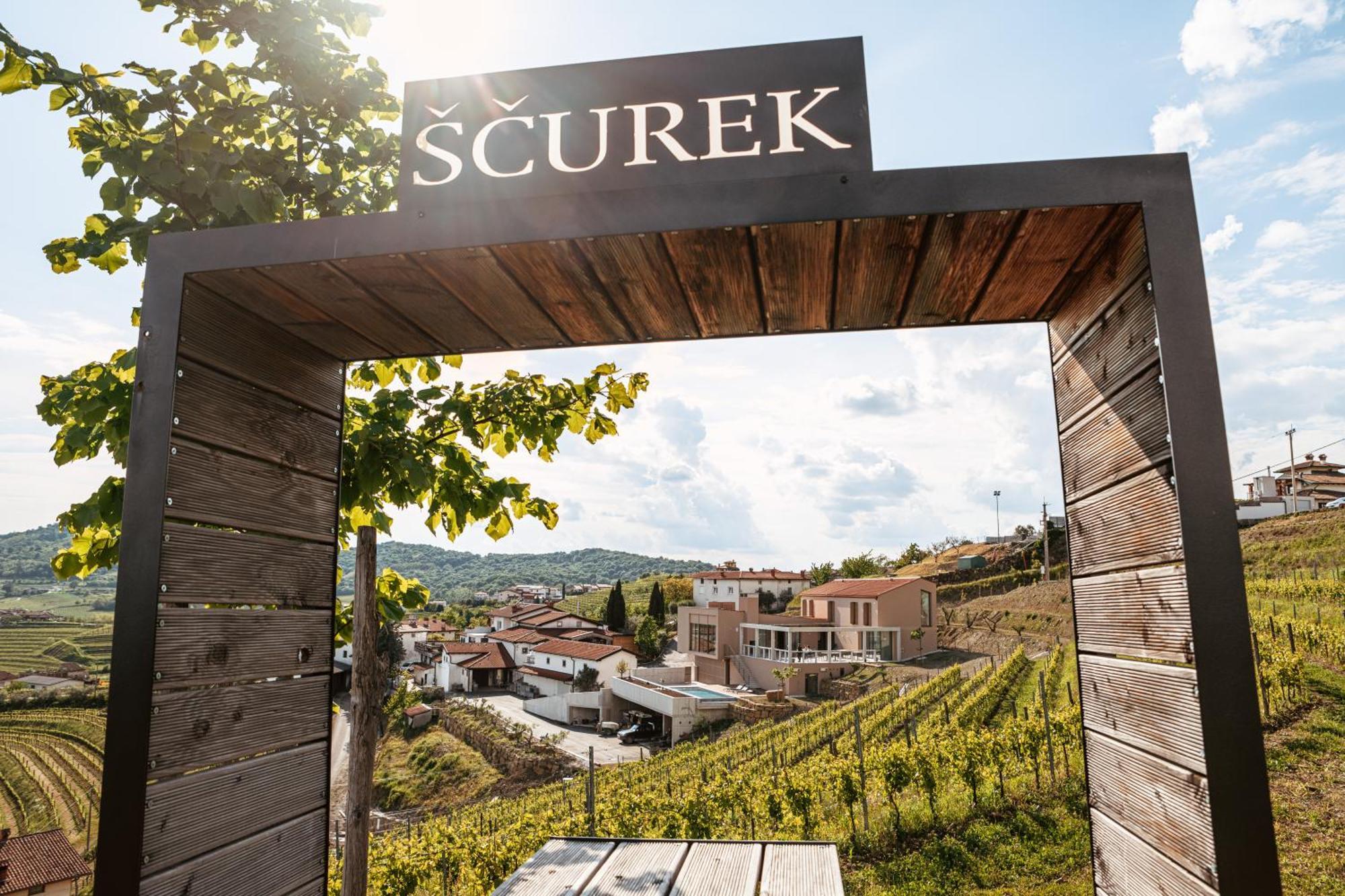 Bed and Breakfast Posestvo Scurek Wine Dobrovo Esterno foto